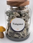 Enigma Magic Mushrooms 🍄