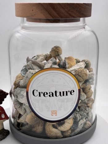 Creature Magic Mushrooms 🍄