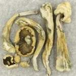 Atlantic-Treasure-Coast